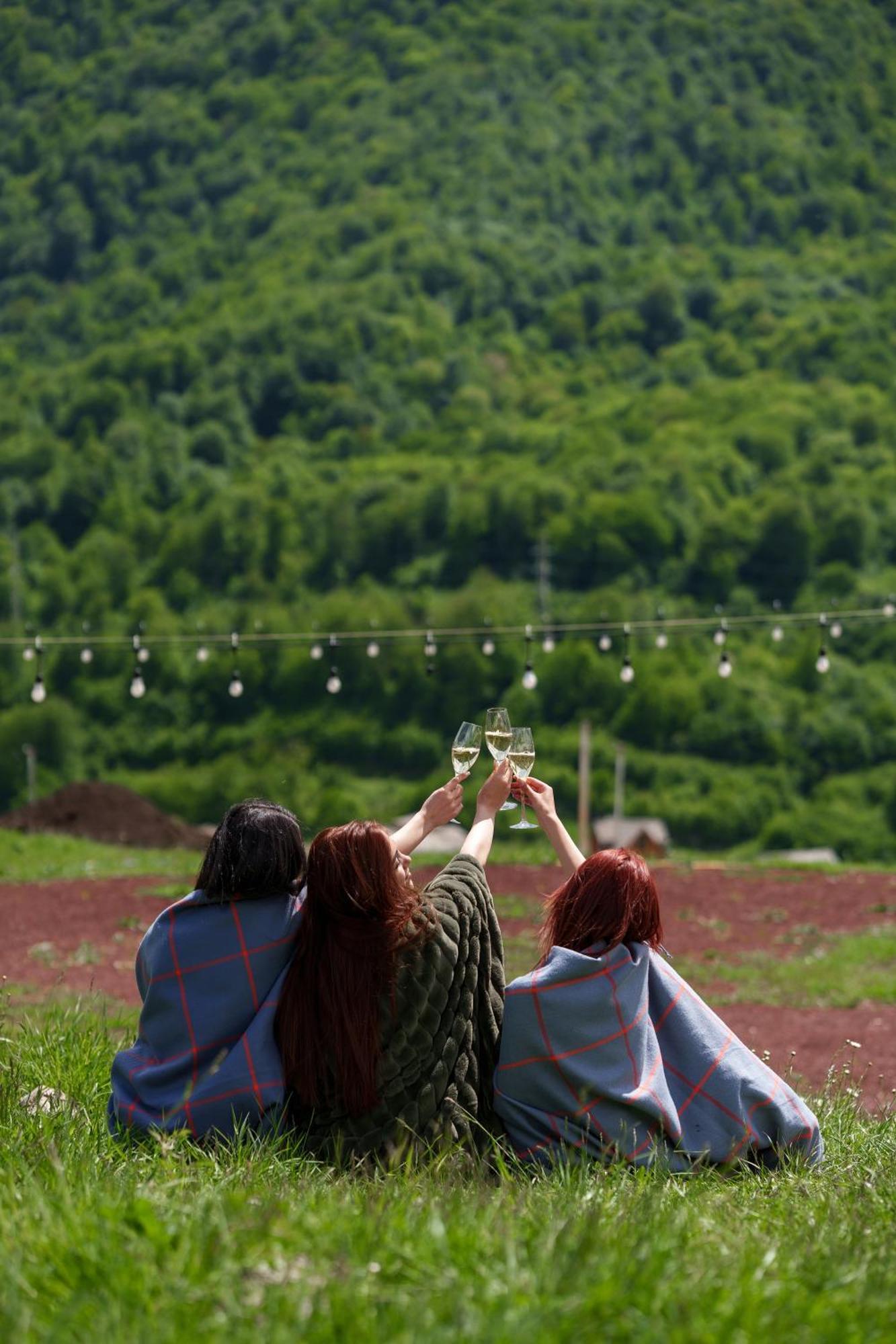 Motives Inn 딜리잔 외부 사진